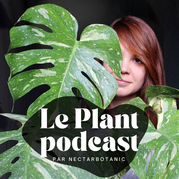 Artwork for Le Plant podcast