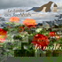 Le podcast du Jardin des Merlettes