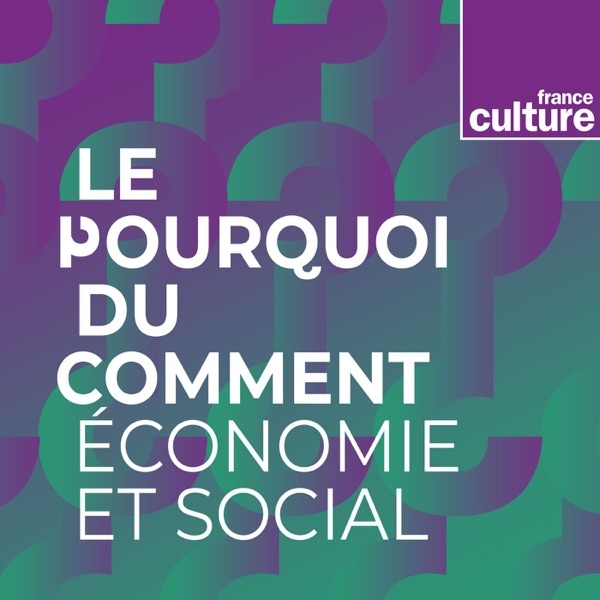 Artwork for Le Pourquoi du comment : économie et social