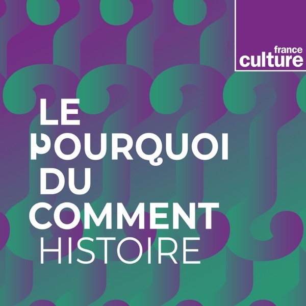 Artwork for Le Pourquoi du comment : histoire