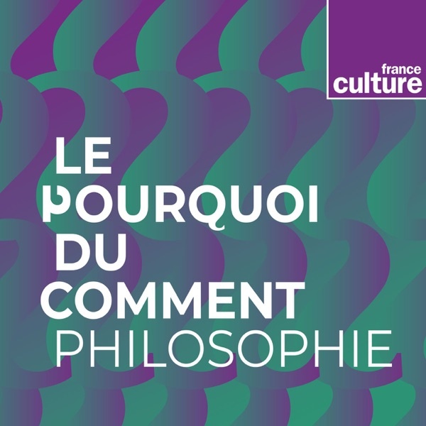 Artwork for Le Pourquoi du comment : philosophie