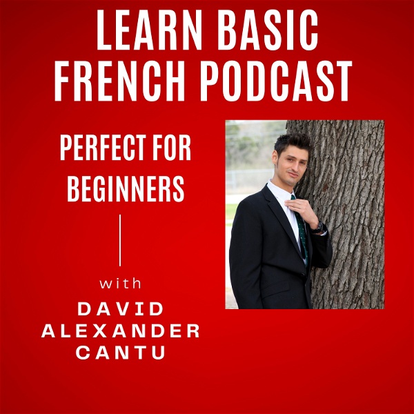 Artwork for Learn Basic French Podcast