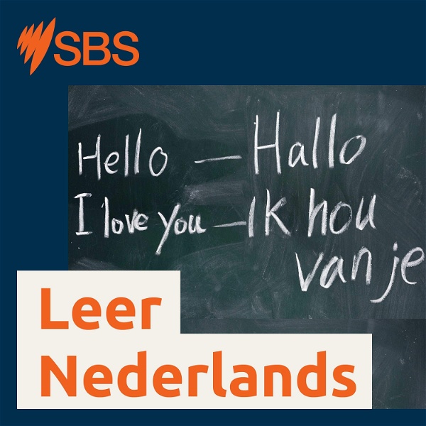 Artwork for Learn Dutch