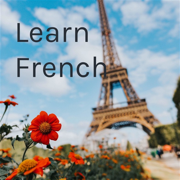 Artwork for Learn French