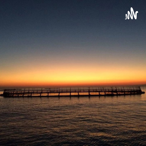 Artwork for Learn New Things Everyday