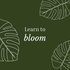 Learn To Bloom