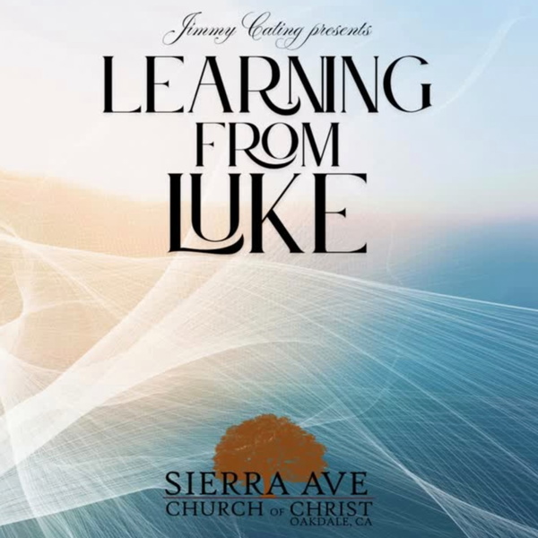 Artwork for Learning From Luke