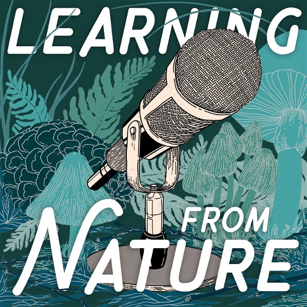 Artwork for Learning from Nature: The Biomimicry Podcast
