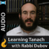 Learning Tanach