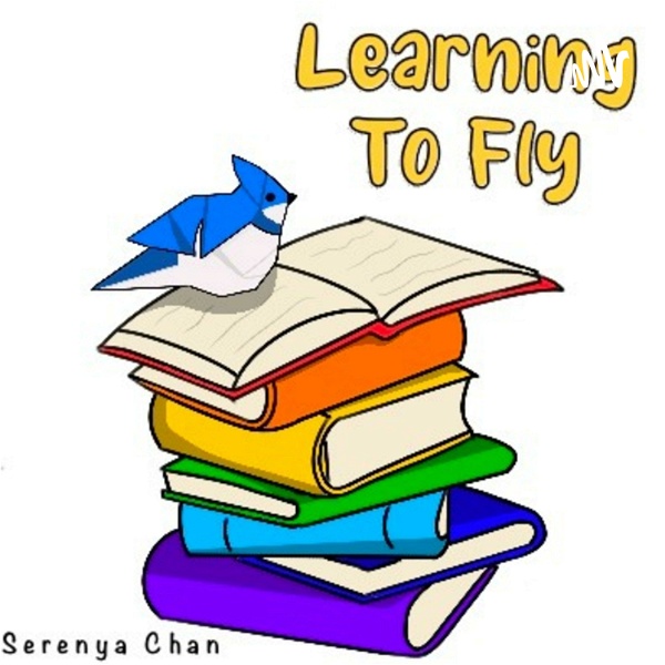 Artwork for Learning To Fly