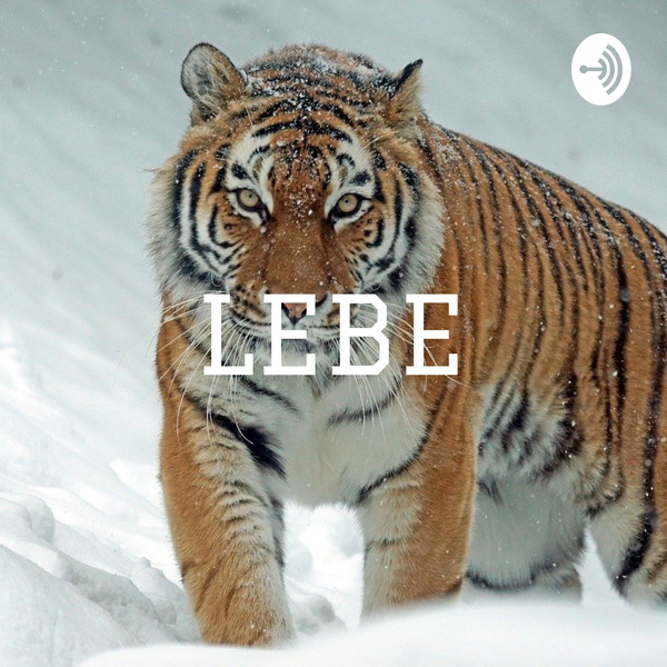 Artwork for LEBE - JETZT.