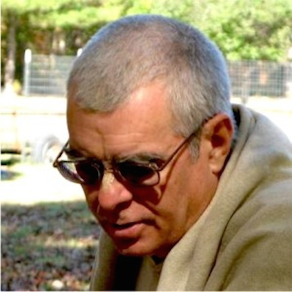 Artwork for Lectures on Transcendence