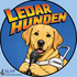 Ledarhunden