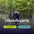 Lederkollegaerne