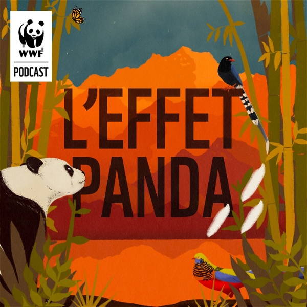Artwork for L'Effet Panda