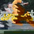 Legacy of Speed