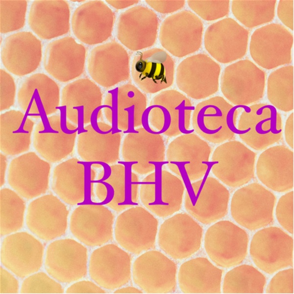 Artwork for Audioteca BHV