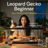 Leopard Gecko Beginner