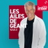Les ailes de géant