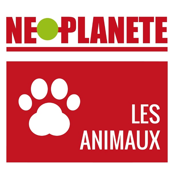 Artwork for Les animaux
