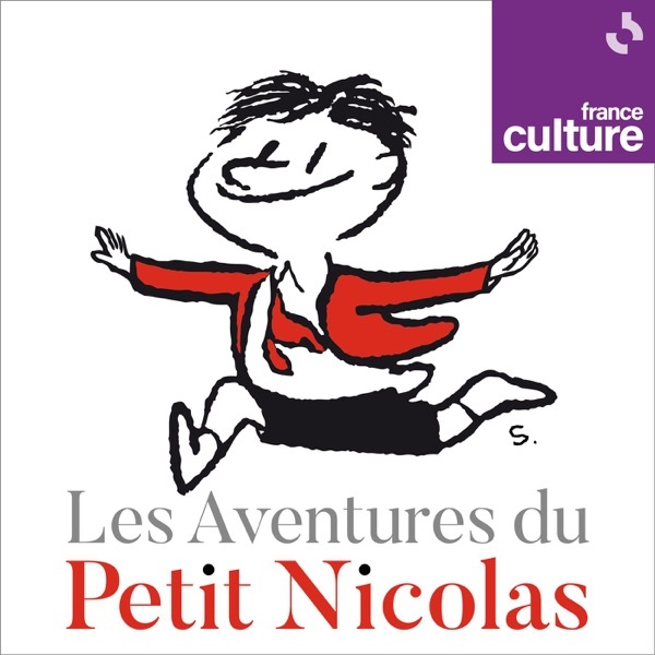 Artwork for Les Aventures du Petit Nicolas