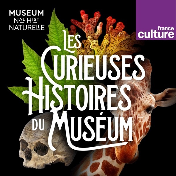 Artwork for Les Curieuses histoires du Muséum