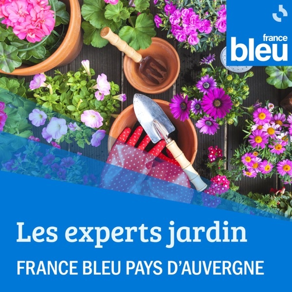 Artwork for Les experts jardin de France Bleu Pays d'Auvergne