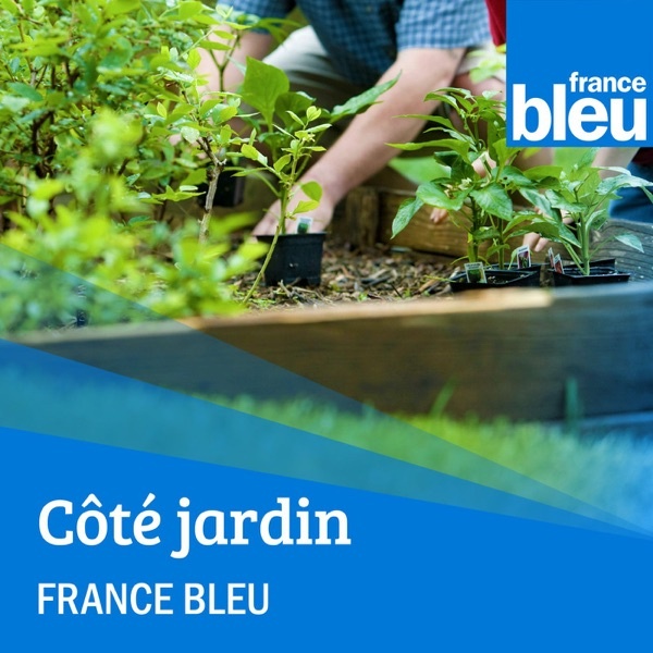 Artwork for Les experts jardinage de Béarn, Bigorre et Landes