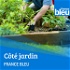 Les experts jardinage de Béarn, Bigorre et Landes