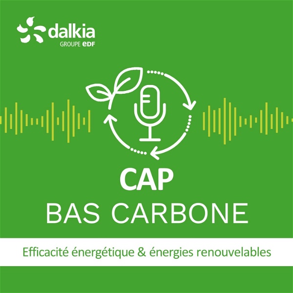 Artwork for Cap Bas Carbone : économies d'énergies & énergies renouvelables