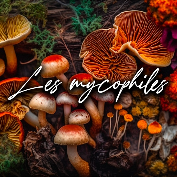 Artwork for Les Mycophiles