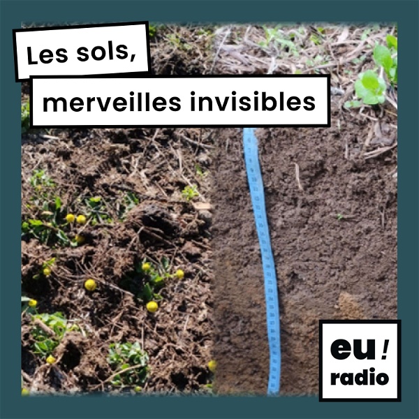 Artwork for Les sols, merveilles invisibles