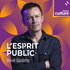 L'esprit public