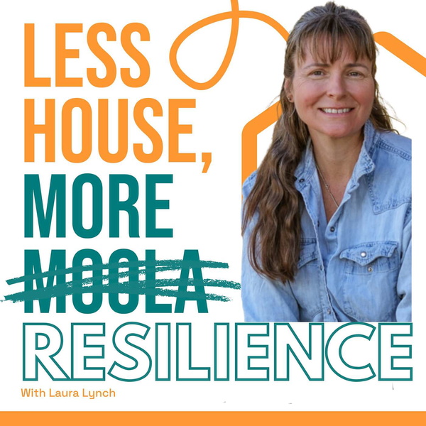 Artwork for Less House More Resilience