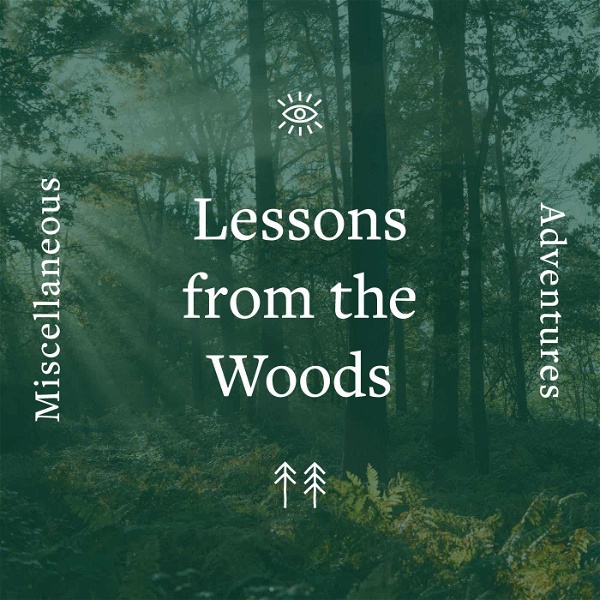 Artwork for Lessons from the Woods
