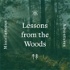 Lessons from the Woods