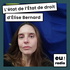 L'État de l'État de droit - Elise Bernard