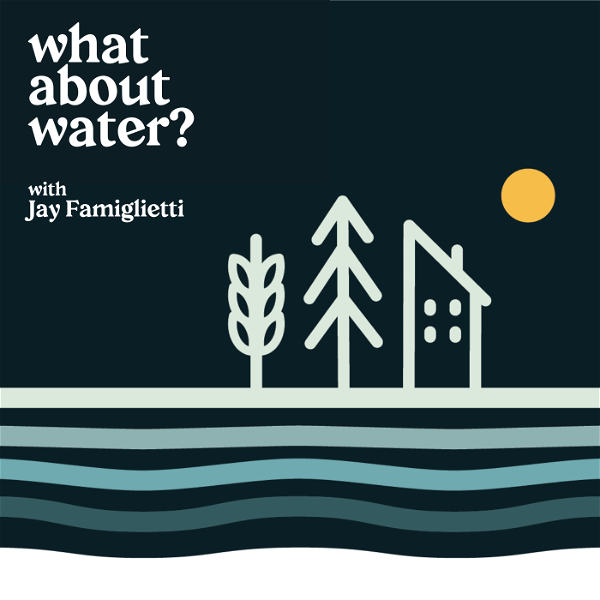 Artwork for What About Water?