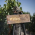 Let's Talk Malbecs