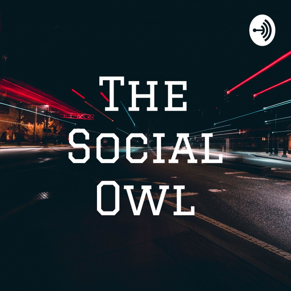 Artwork for The Social Owl