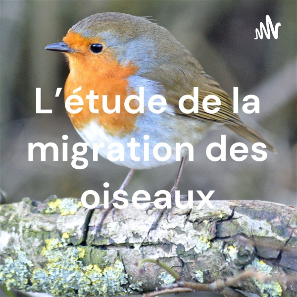 Artwork for L'étude de la migration des oiseaux