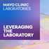Leveraging the Laboratory