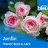 Circuit Bleu - Côté expert Jardin -  France Bleu Alsace