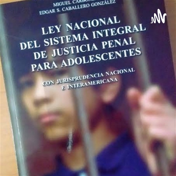 Artwork for LEY NACIONAL DE SISTEMA DE JUSTICIA PENAL PARA ADOLESCENTES