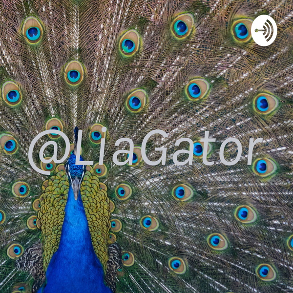 Artwork for @LiaGator