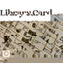 Library Card