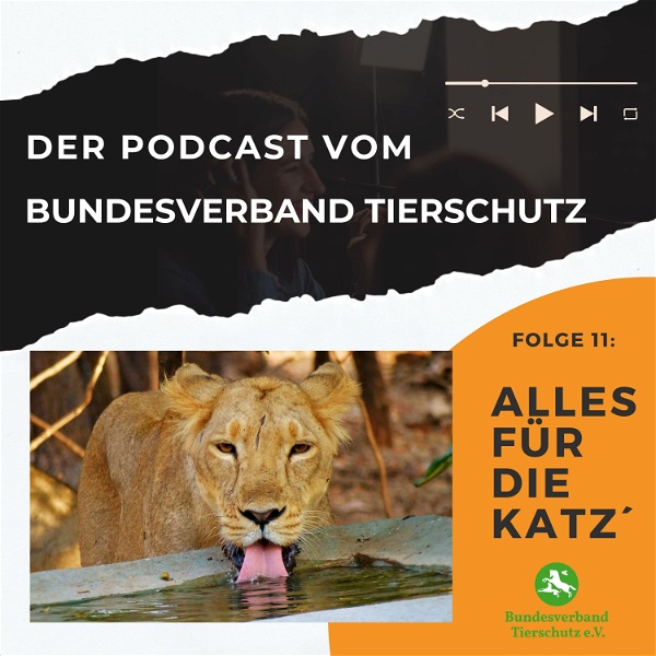 Artwork for Der Podcast vom Bundesverband Tierschutz