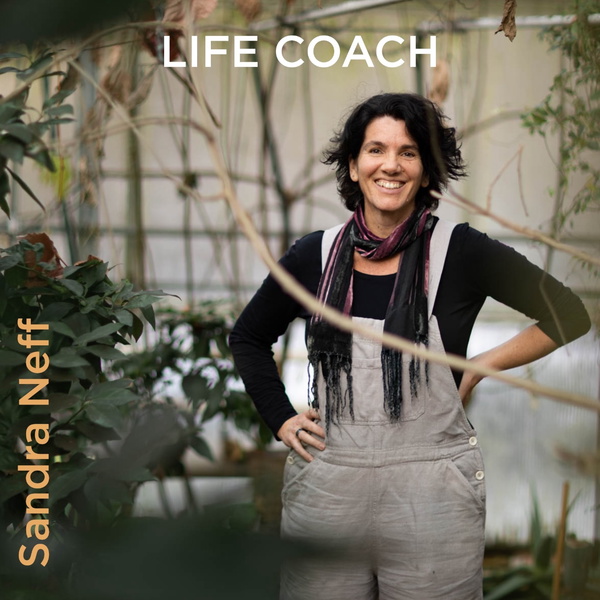 Artwork for Life Coach