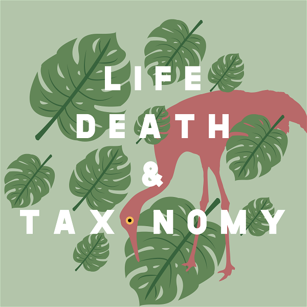 Artwork for Life, Death, and Taxonomy