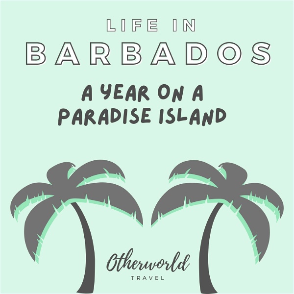 Artwork for Life in Barbados: A Year On A Paradise Island